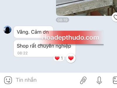 dịch vụ gửi điện hoa phúng viếng tại cầu giấy
