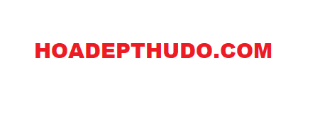 Hoadepthudo.com