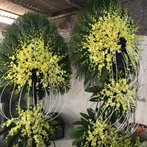 Niệm khúc cuối - VHTL28