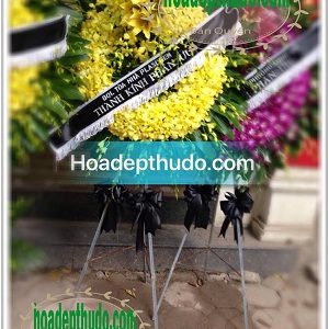 Vòng hoa kiểu sài gòn sử dụng 100% lan vàng nhập từ thái lan