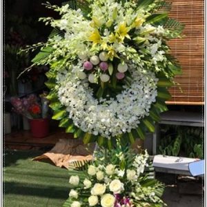 Hoài niệm 2 - VHTL66