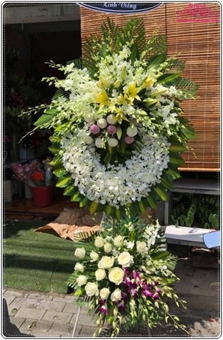 Hoài niệm 2 - VHTL66 Hoài niệm 2 - VHTL66